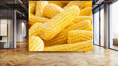 Several sweet corn ears. Yellow corn as vegetable background. Wall mural