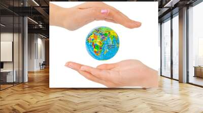 hands and earth Wall mural