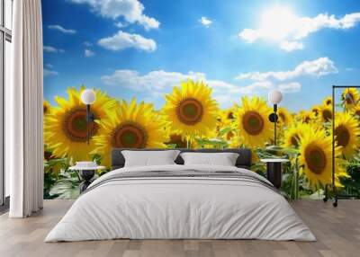 Sunflower field under blue sunny sky Wall mural