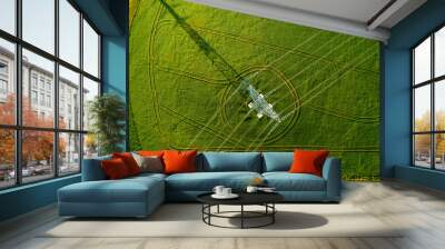 High voltage power line supports Wall mural