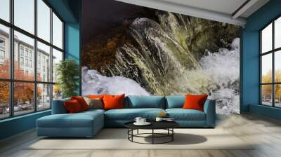 water flowing over rocks Wall mural