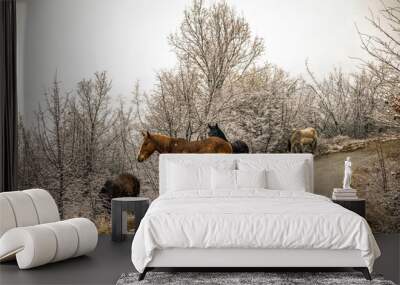 Horses in the snow Poroia Greece Wall mural