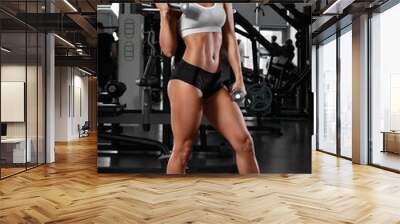 Athletic girl working out in gym. Fitness woman with abs Wall mural