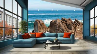 Scenic Monterey coast, beautiful view on the Kissing Rock, Pacific Grove, Monterey, California, USA Wall mural