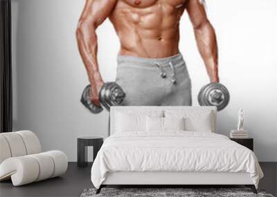 Sexy athletic man showing muscular body with dumbbells, full length, isolated over white background. Strong male naked torso abs Wall mural