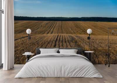 Landscape with blue sky and wheat field at sunset Wall mural