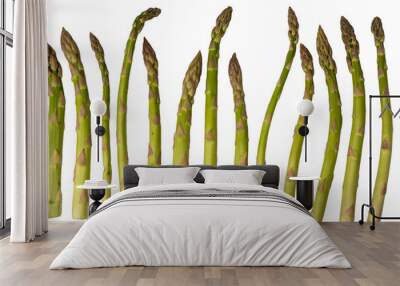 Asparagus isolated on a white background. Wall mural