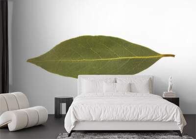 bay leaf isolated Wall mural