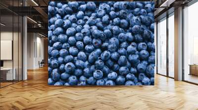 Fresh blueberry background. Texture blueberry berries close up. Wall mural