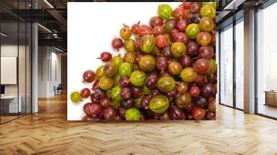 Gooseberry isolated on white background. Wall mural