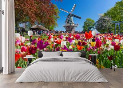 Blooming colorful tulips flowerbed in public flower garden with windmill. Popular tourist site. Lisse, Holland, Netherlands. Wall mural