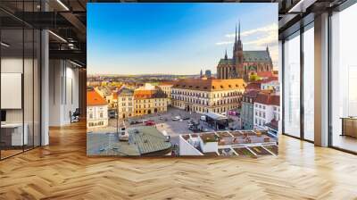 Cathedral of St Peter and Paul in Brno, Moravia, Czech Republic with town square during sunny day. Famous landmark in South Moravia. Wall mural