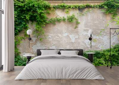 Green leaves on a wall for background with free space. Architecture design mockup Wall mural