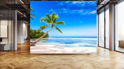 Palm trees on the caribbean tropical beach. Saona Island, Dominican Republic. Vacation travel background Wall mural