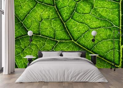 Tree leaf. Wall mural