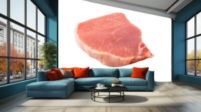 Raw pork pieces isolated on a white background. Wall mural