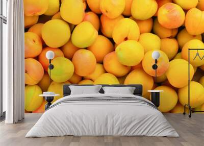 Ripe juicy orange apricots fruit background. Wall mural