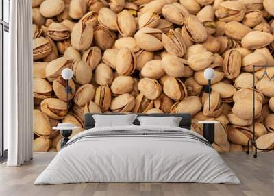 Tasty pistachios isolated on a white background. Wall mural