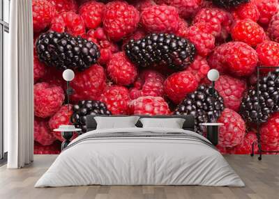 Tasty raspberry and blackberry background. Wall mural