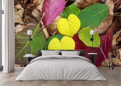 two yellow leaf in the form of heart among colored leaves Wall mural