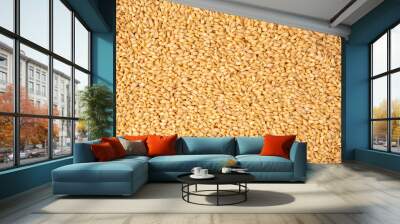 Wheat grain as a background. Top view. Wall mural