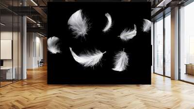 white feather isolated on a black background. Wall mural