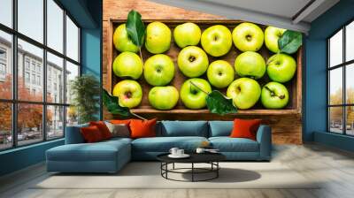 Harvest green apples Wall mural