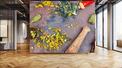 Medicinal and healing herbs Wall mural