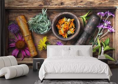 set healthy herbs Wall mural