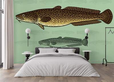 Burbot. Vector illustration with refined details and optimized stroke that allows the image to be used in small sizes (in packaging design, decoration, educational graphics, etc.) Wall mural