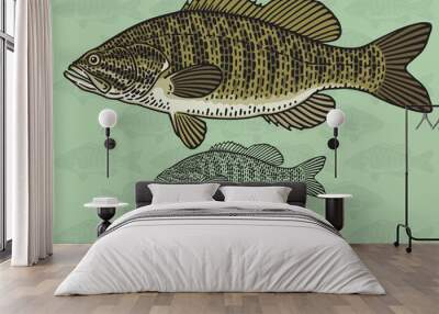 Smallmouth Bass. Vector illustration for artwork in small sizes. Suitable for graphic and packaging design, educational examples, web, etc. Wall mural