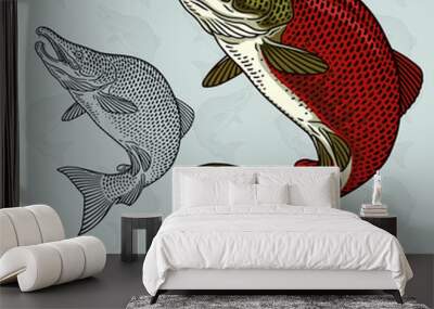 Sockeye Salmon. Vector illustration with refined details and optimized stroke that allows the image to be used in small sizes (in packaging design, decoration, educational graphics, etc.) Wall mural