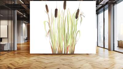 Watercolor illustration cattails and dragonflies, hand painting isolated illustration wildlife. Wall mural