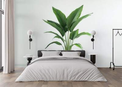 Contemporary indoor plant with lush, vivid green foliage isolated on a clean white background --ar 16:9 --v 6.1 Job ID: 62c45623-3376-4993-b7a1-1509a79c9652 Wall mural