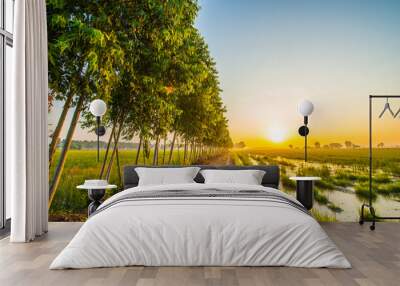 The atmosphere in the countryside dawn.6 Wall mural