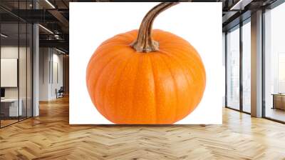 Pumpkin isolated on white background. Orange ripe pumpkin. Wall mural