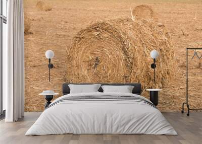 Stack of straw in the field. Wall mural