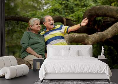 happy Indian senior couple together spending time at park. Wall mural