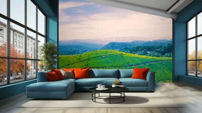 Tea plantations in Munnar, Kerala, India. Beautiful views of green hills with blue sky. Wall mural