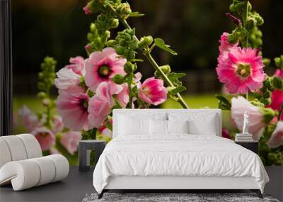  beautiful pink flower in garden Wall mural