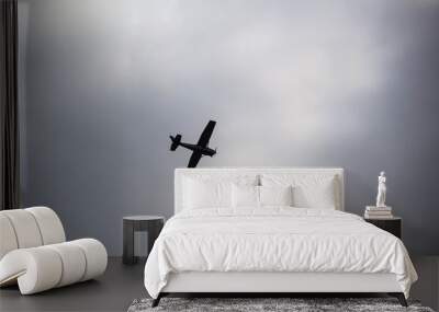 small retro airplane Wall mural