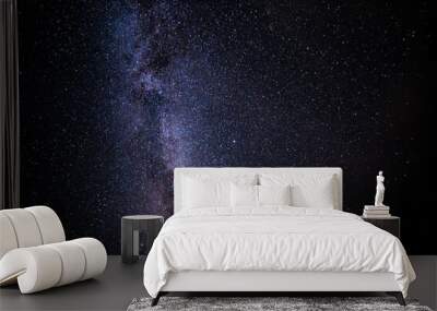 Night Sky, Milky Way. Nature landscape. Wall mural