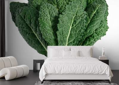 dinosure kale (italian kale, tuscan kale, lacinato ) isolated on white background Wall mural