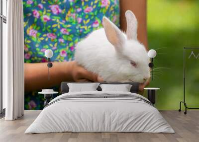 Fluffy and adorable Red eyed Albino white rabbit resting on the warmth of a young girl's hands, light passing through long ears make veins visible, the concept of a friendship photograph. Wall mural