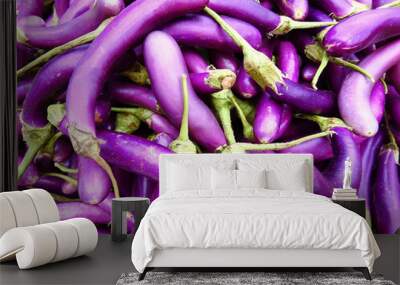 Long purple eggplants or chinese eggplant vegetable Wall mural