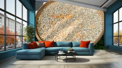 Raw Coffee Seeds Wall mural