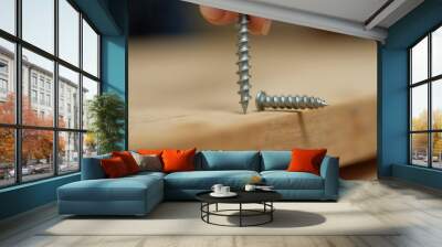 Screws and bolts for furniture repair. Two metal screws lie on a wooden surface, one standing upright, showcasing their design and functionality in close-up detail. Wall mural