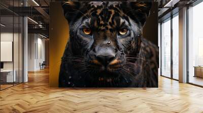 Front view of Panther on black background. Wild animals banner with copy space. Predator series. Wall mural