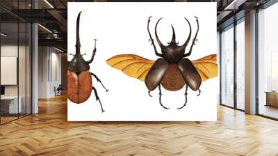 Rhinoceros beetle Wall mural