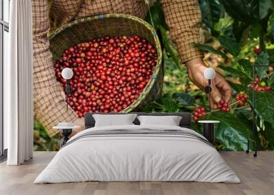 Fresh coffee bean in basket Wall mural